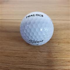 Masters Titleist Practice Golf Ball